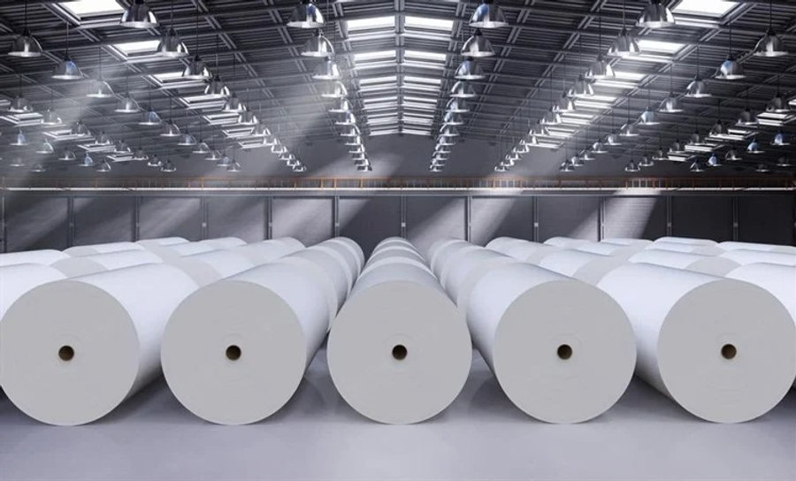 Papel e Celulose